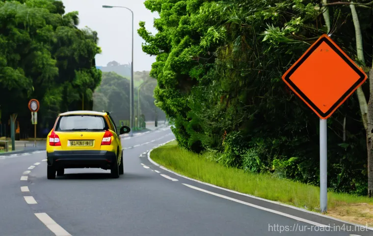 도로교통사 필기시험 예상문제 - **Prompt 1: Understanding Road Signs**
A realistic, well-lit image of a young adult, possibly a ...